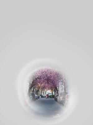 Gleiche Szene der Bonner Kirschblüte. Von den blühenden Kirschbäumen, deren rosa Blüten ein dichtes Blätterdach über der Straße formen, ist nichts mehr zu sehen. Nur in der Bildmitte ist eine runde, unscharfe Öffnung und lässt ein paar Menschen in der Ferne erkennen, Die Ränder rund um das zentrale Bild sind stark verschwommen, wie durch ein Schlüsselloch gesehen.